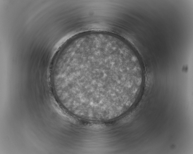 X0000113181074200909251436