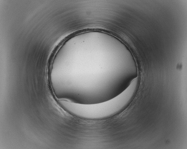 X0000113181076200909251436
