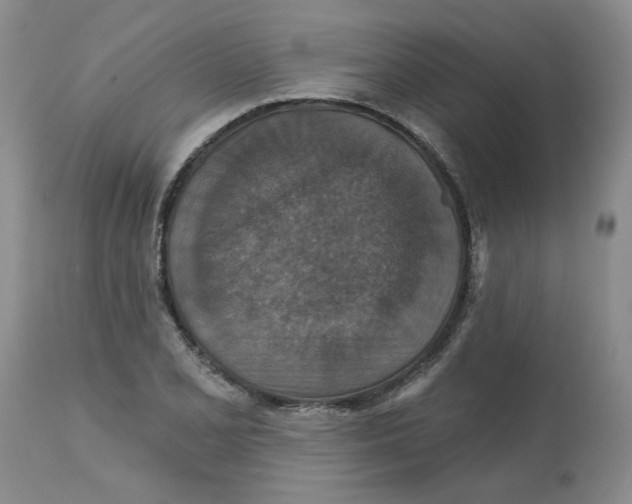 X0000113181077200909251436