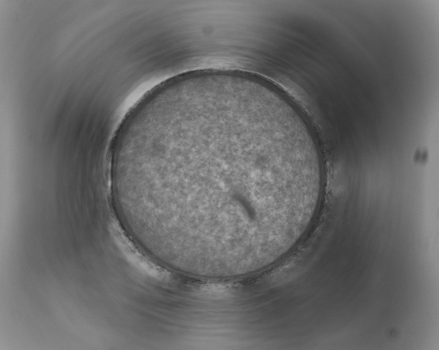 X0000113181078200909251436