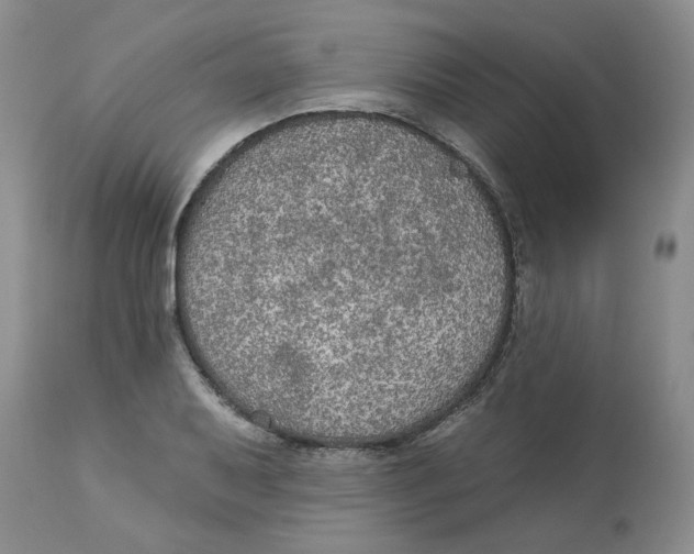 X0000113181079200909251436