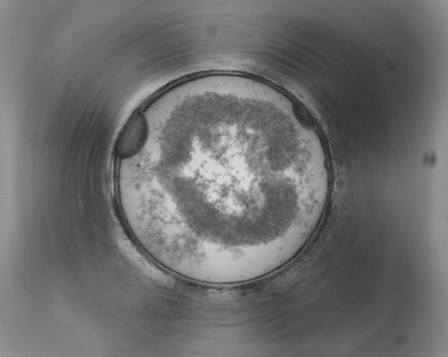 X0000113181080200909251436