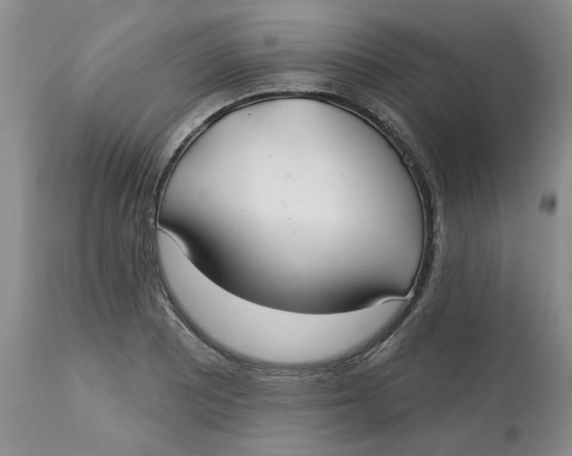 X0000113181081200909251436