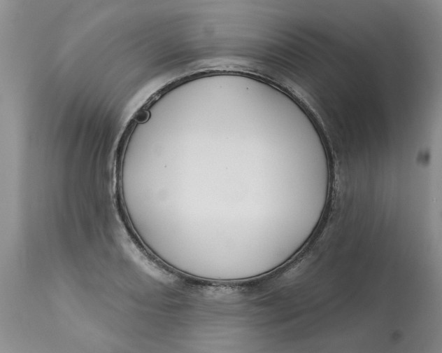 X0000113181082200909251436
