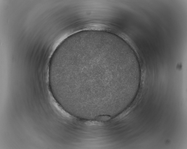 X0000113181083200909251436