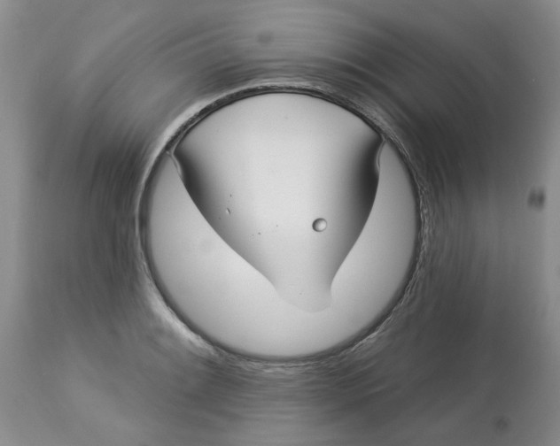X0000113181084200909251436