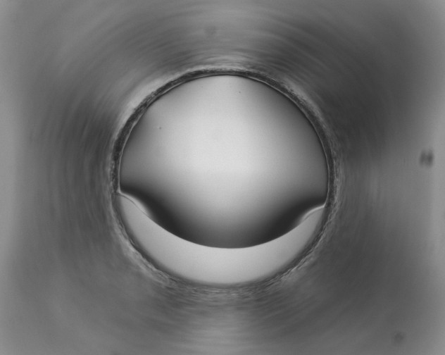 X0000113181085200909251436