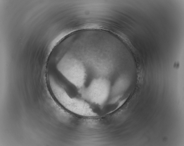 X0000113181086200909251436