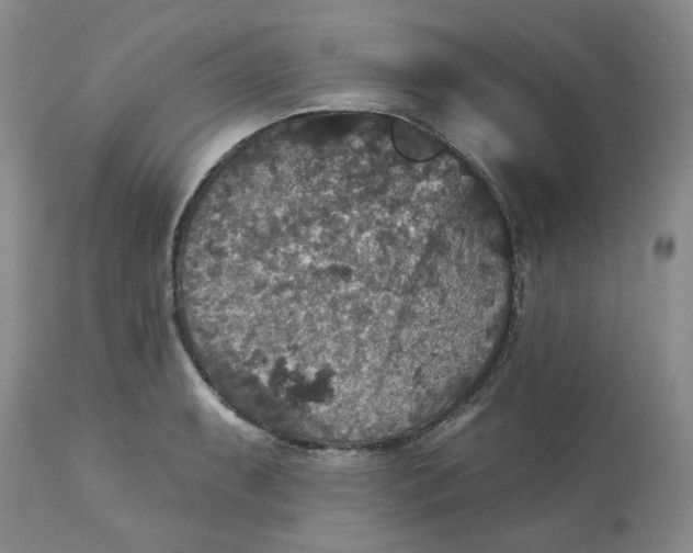 X0000113181087200909251436