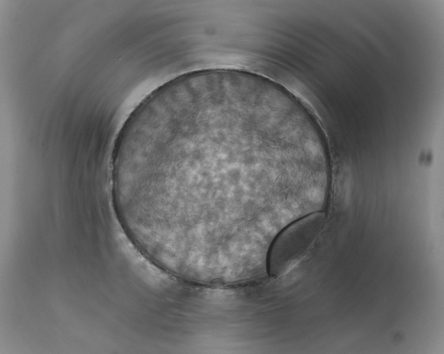 X0000113181088200909251436