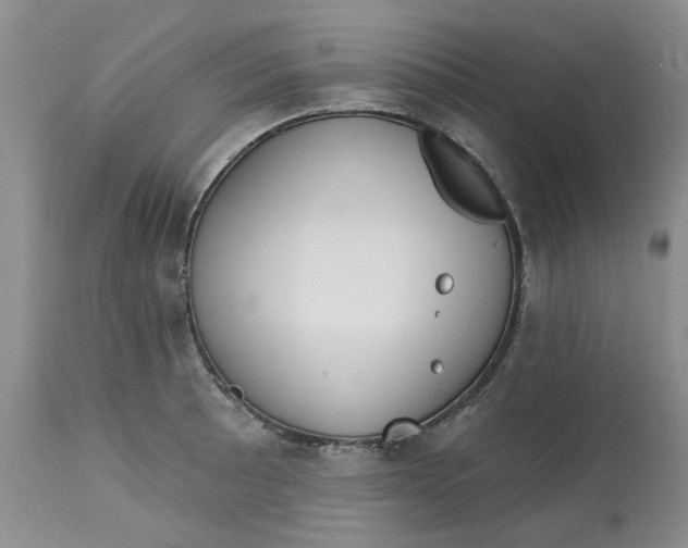 X0000113181089200909251436