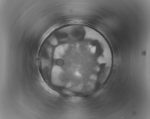 X0000113181090200909251435