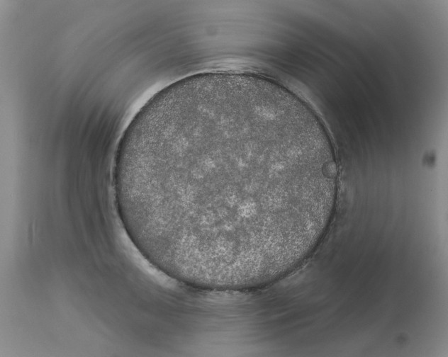 X0000113181091200909251435