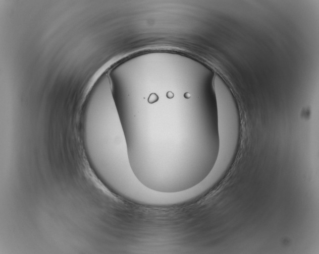 X0000113181092200909251435