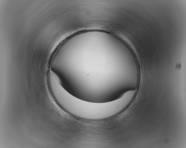 X0000113181093200909251435