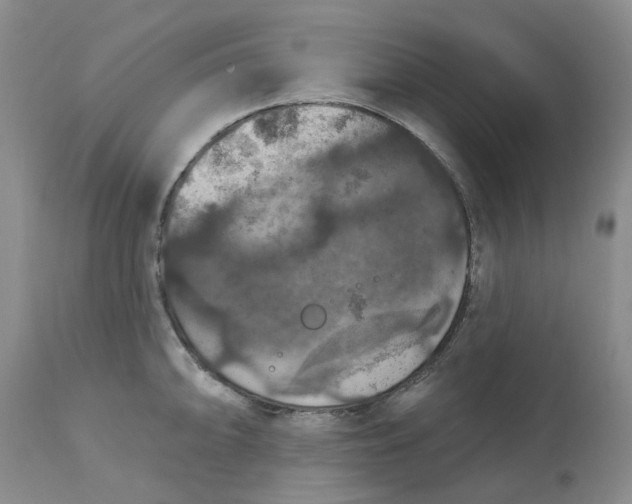 X0000113181094200909251435