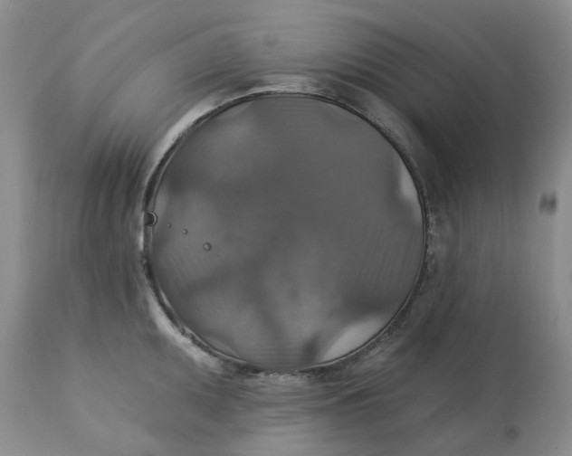 X0000113181095200909251435