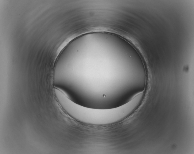 X0000113181097200909251435