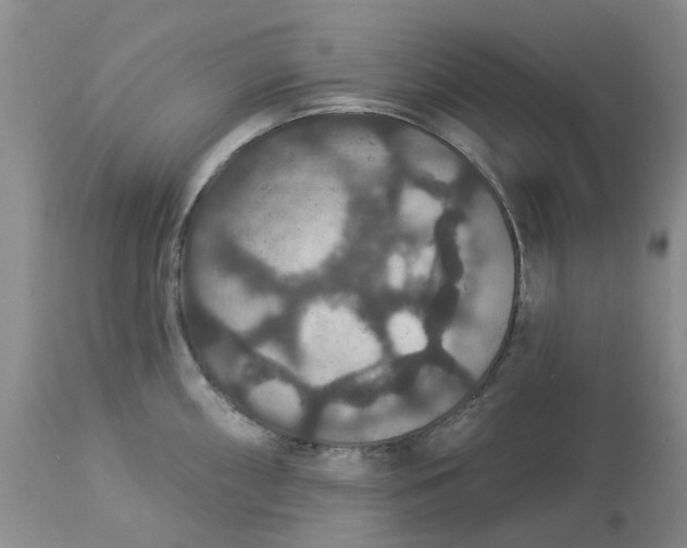 X0000113181098200909251435