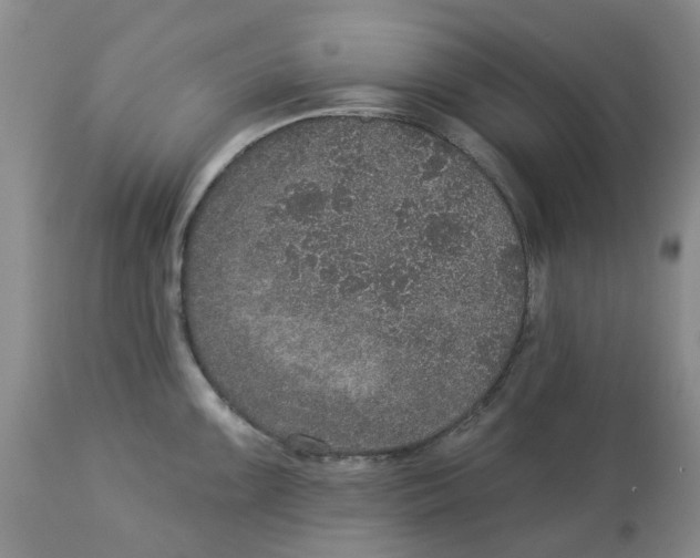 X0000113181099200909251435