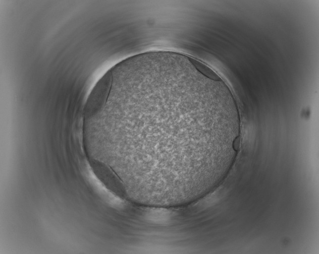 X0000113181100200909251435