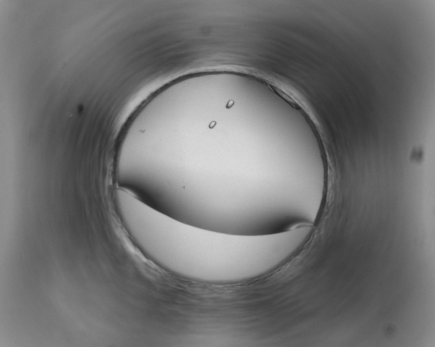 X0000113181101200909251435