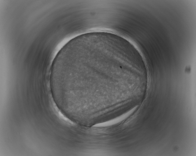 X0000113181102200909251435