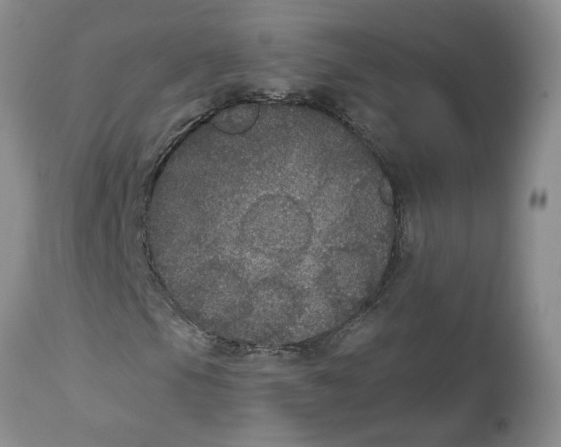 X0000113181105200909251434