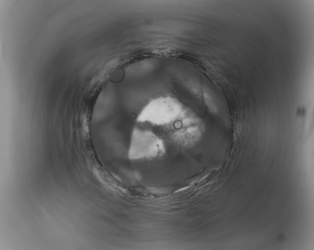 X0000113181106200909251434