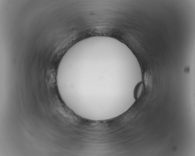 X0000113181107200909251435