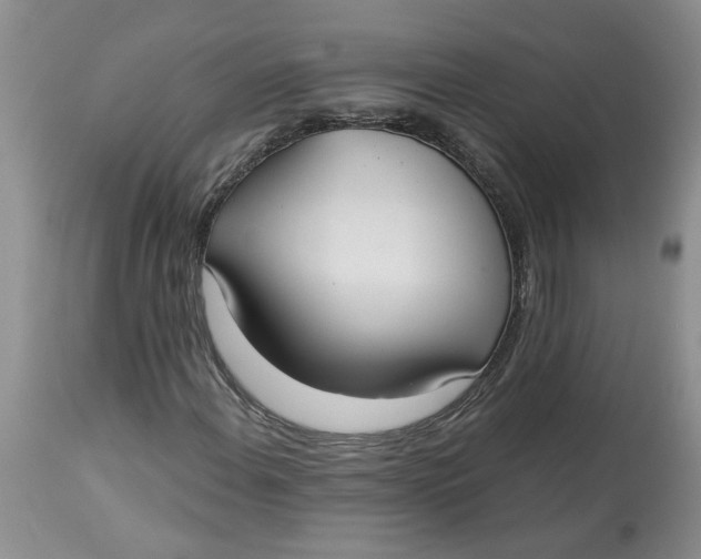 X0000113181108200909251435