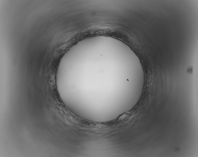 X0000113181109200909251435