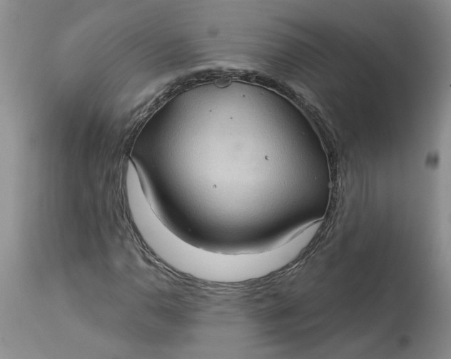 X0000113181110200909251435