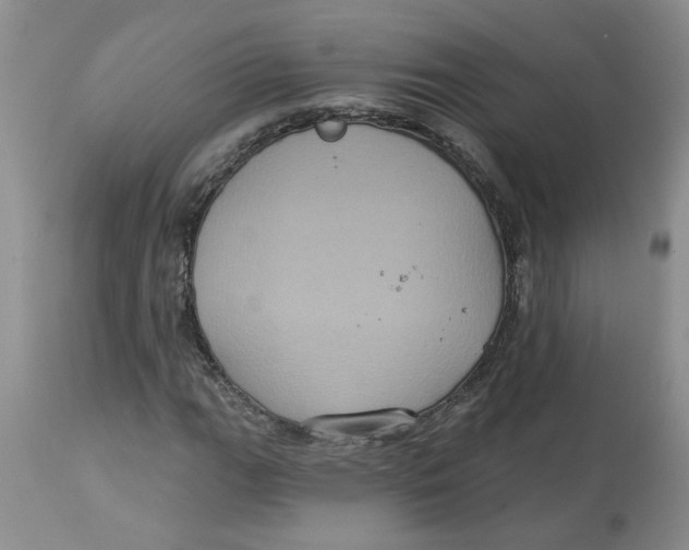 X0000113181111200909251435