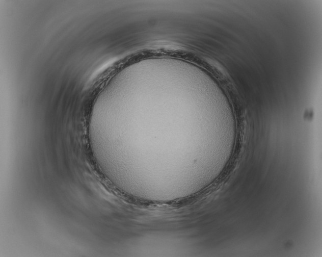 X0000113181112200909251435