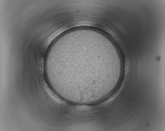 X0000113181113200909251435