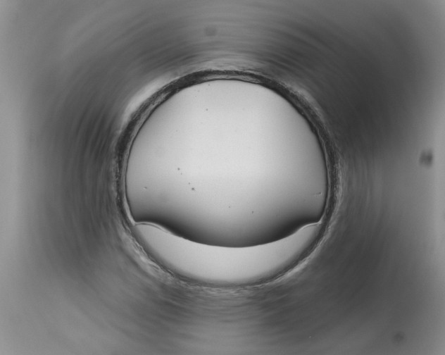 X0000113181114200909251435