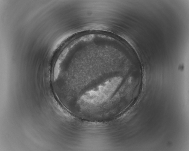 X0000113181115200909251435