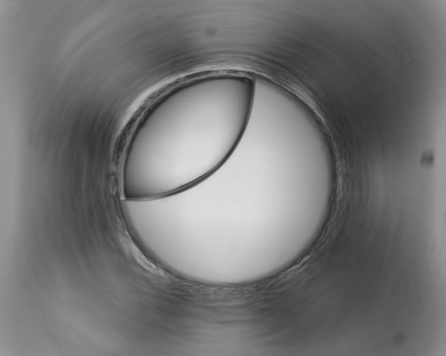 X0000113181116200909251435