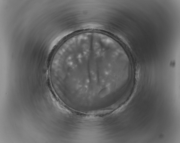 X0000113181117200909251435