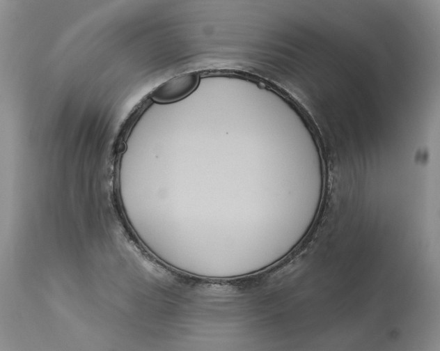 X0000113181119200909251435