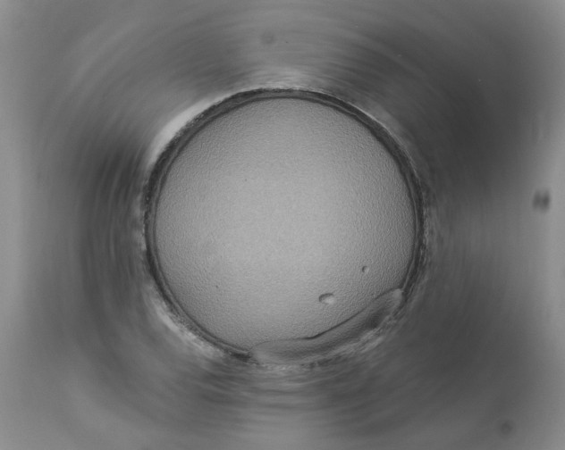 X0000113181120200909251435