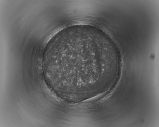 X0000113181121200909251435