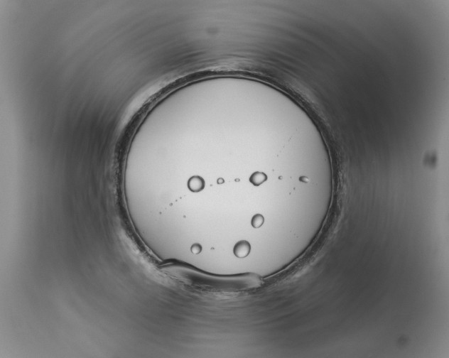 X0000113181122200909251435