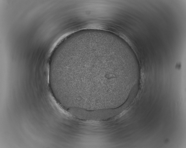 X0000113181123200909251435