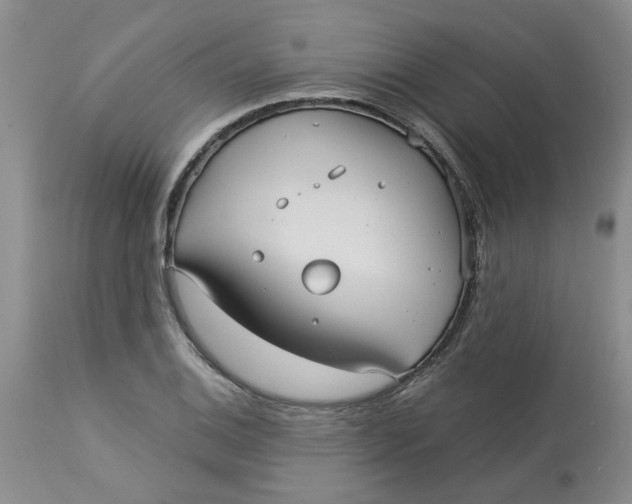 X0000113181124200909251435