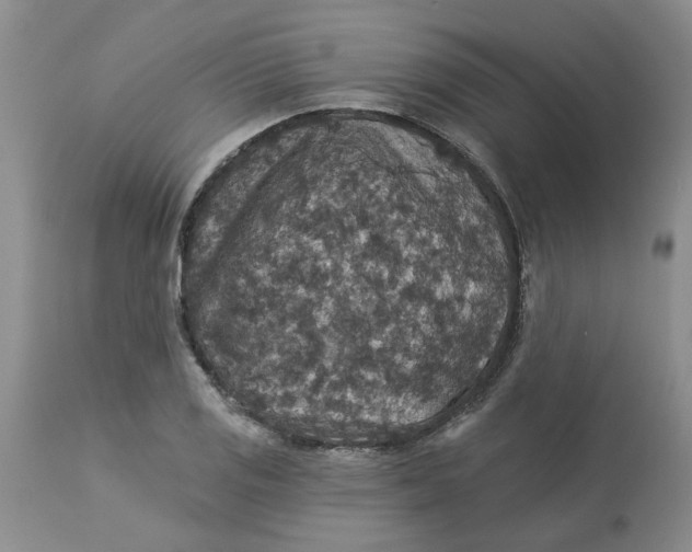 X0000113181125200909251435