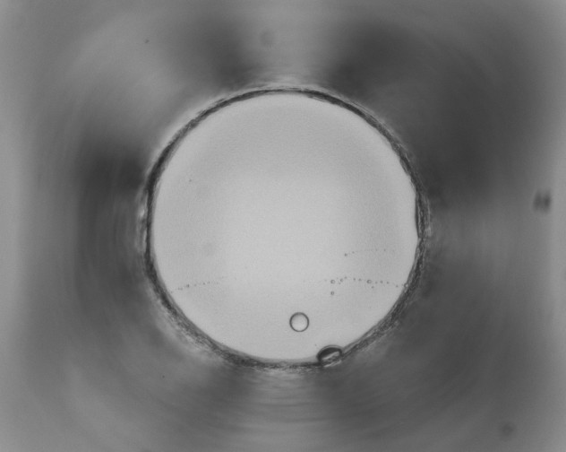 X0000113181126200909251435