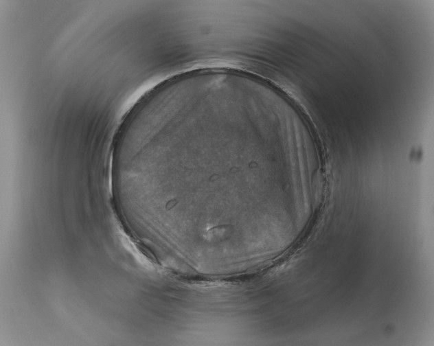 X0000113181127200909251435