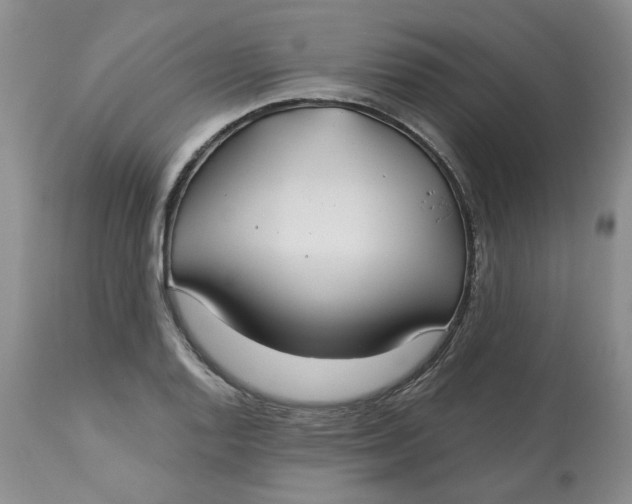 X0000113181128200909251435